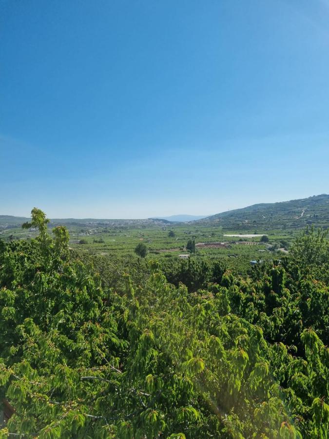 מג'דל שמס Oriental Nature מראה חיצוני תמונה