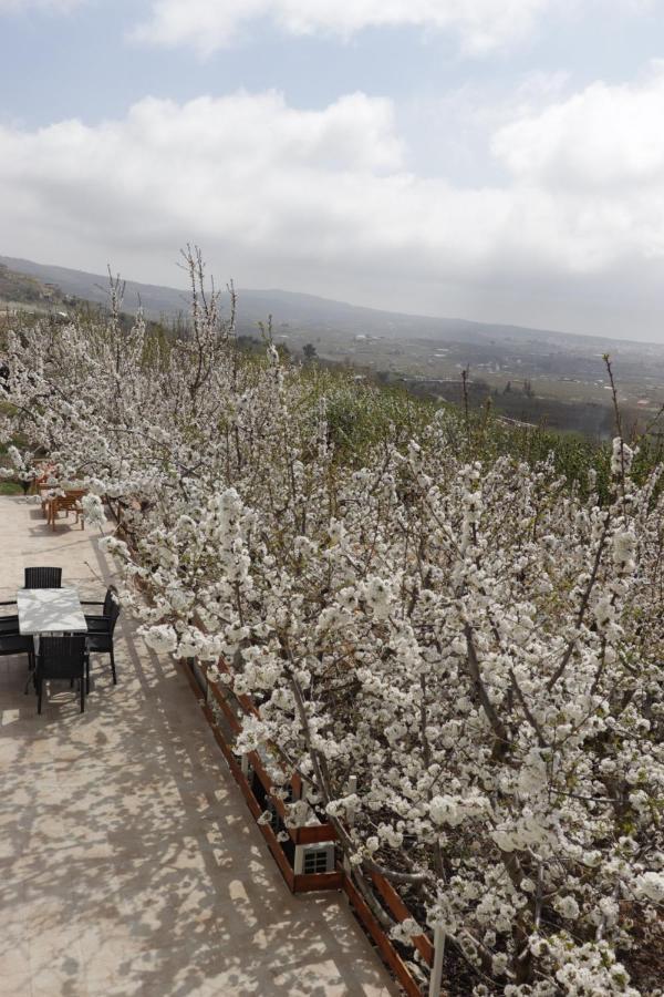 מג'דל שמס Oriental Nature מראה חיצוני תמונה